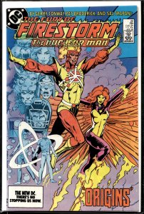 The Fury of Firestorm #22 (1984) Firestorm