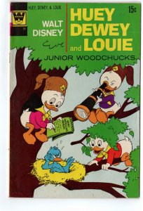 Walt Disney Huey, Dewey and Louie Junior Woodchucks #15 Whitman Cover (1972)