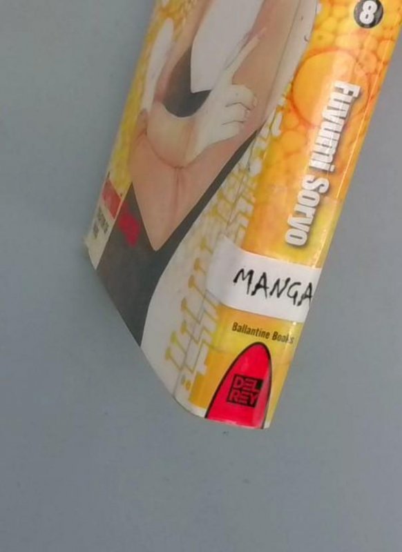 Eternal Sabbath #8, Fuyumi Soryo, Del Rey