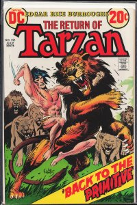 Edgar Rice Burroughs' Tarzan #221 (1973)