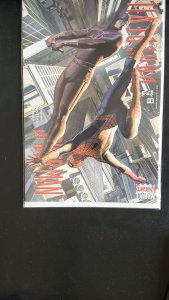 Daredevil/Spider-Man #2 (2001)