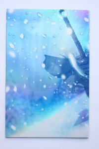 Warlands: The Age of Ice #1 Cover C (2001) Warlands NM