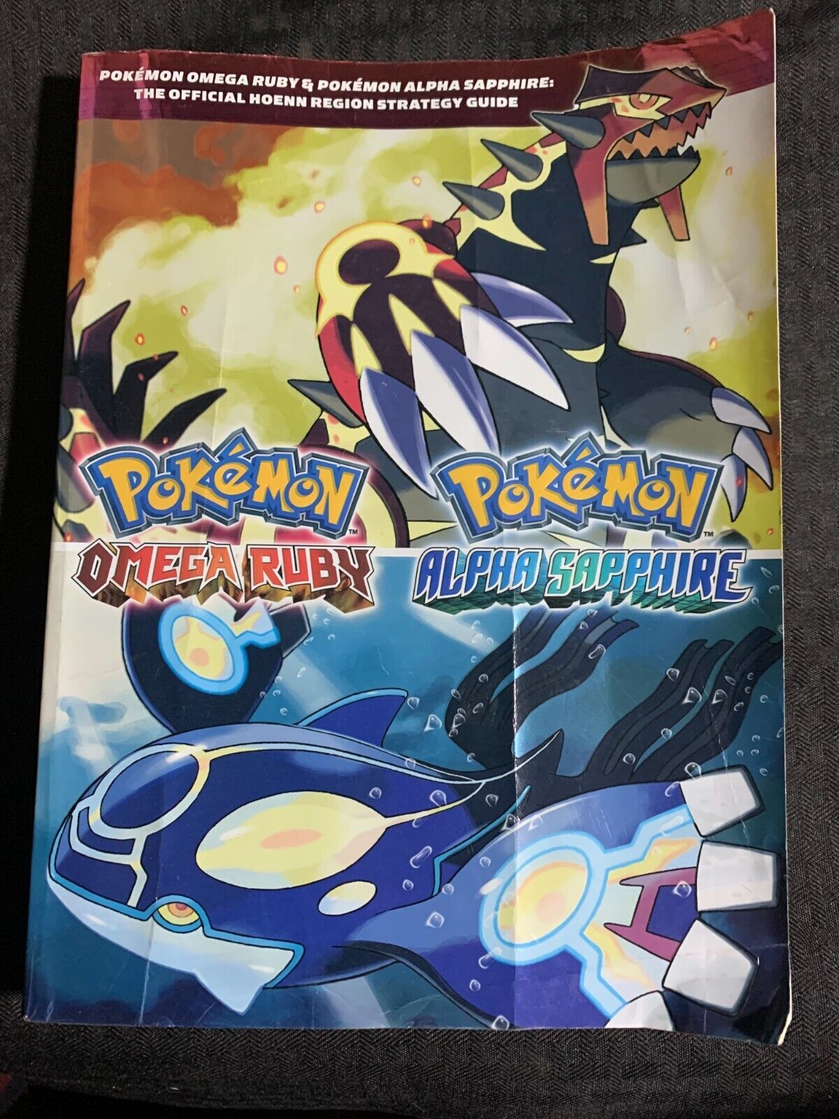 Pokemon Omega Ruby & Pokemon Alpha Sapphire: The Official Hoenn Region  Strategy Guide : Pokemon Company International: : Books