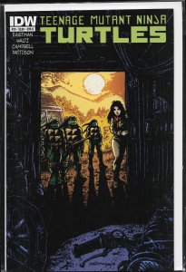 Teenage Mutant Ninja Turtles #29 Cover B (2013)