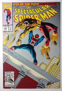 The Spectacular Spider-Man #193 (7.0, 1992) 