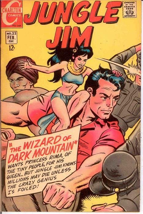 JUNGLE JIM (1969-1970 CH) 22 FINE DITKO/WOOD  Feb. 1969 COMICS BOOK