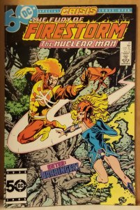 The Fury of Firestorm #41 (1985)