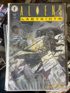 Aliens: Labyrinth #2 (1993)