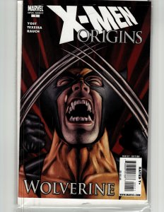 X-Men Origins: Wolverine (2009) Wolverine