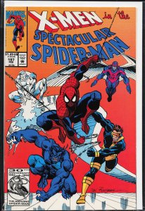 The Spectacular Spider-Man #197 (1993) Spider-Man