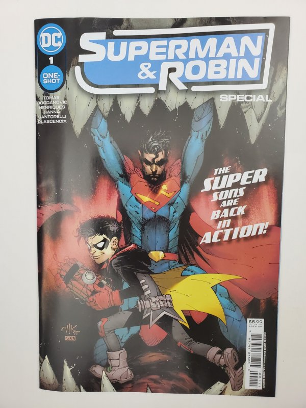 Superman & Robin One Shot