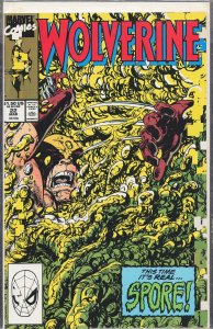 Wolverine #22 (1990) Wolverine