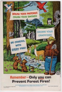 True Story of Smokey Bear (1969)