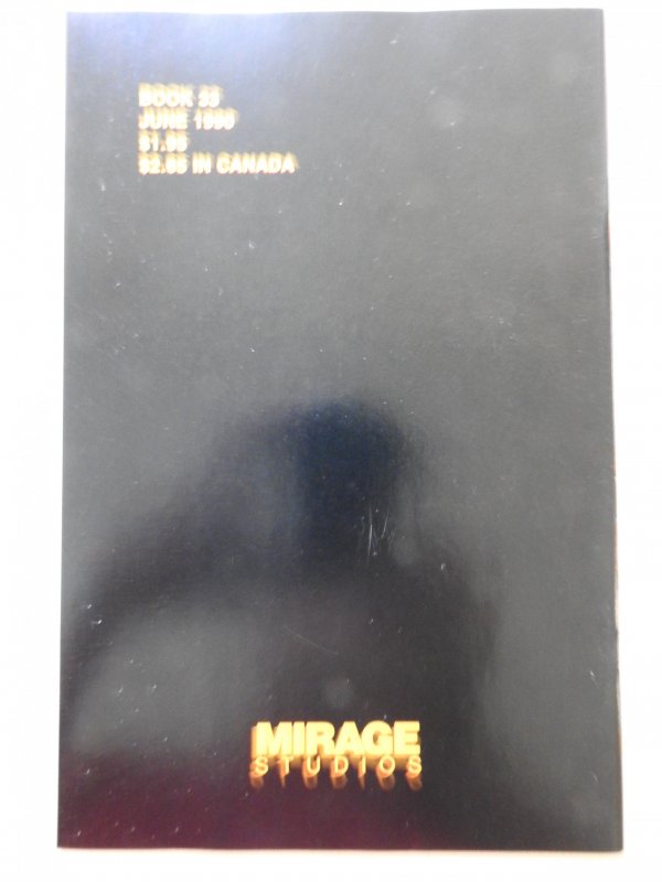 Teenage Mutant Ninja Turtles #33 (1990) Beautiful NM- COndition!