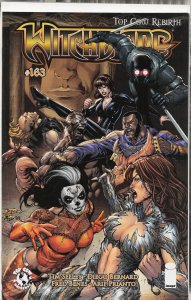 Witchblade #163 Variant Cover (2013) Witchblade