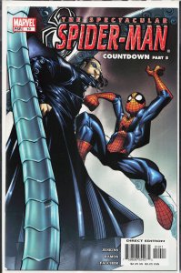 Spectacular Spider-Man #10 (2004) Spider-Man
