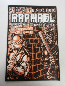 Teenage Mutant Ninja Turtles Raphael #1 (1985) VG Cond bug chew through book
