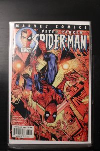 Peter Parker: Spider-Man #30 (2001)