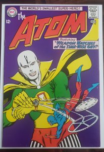 The Atom 13