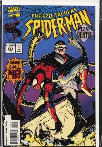 The Spectacular Spider-Man #221 (1995) Spider-Man