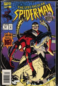 The Spectacular Spider-Man #221 (1995) Spider-Man