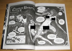 Bundle of Raulo Caceres comics; Elizabeth Bathory (7 issues) and Morbid Tales.