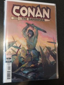 Conan the Barbarian #1 Ribic variant cover Marvel Comics