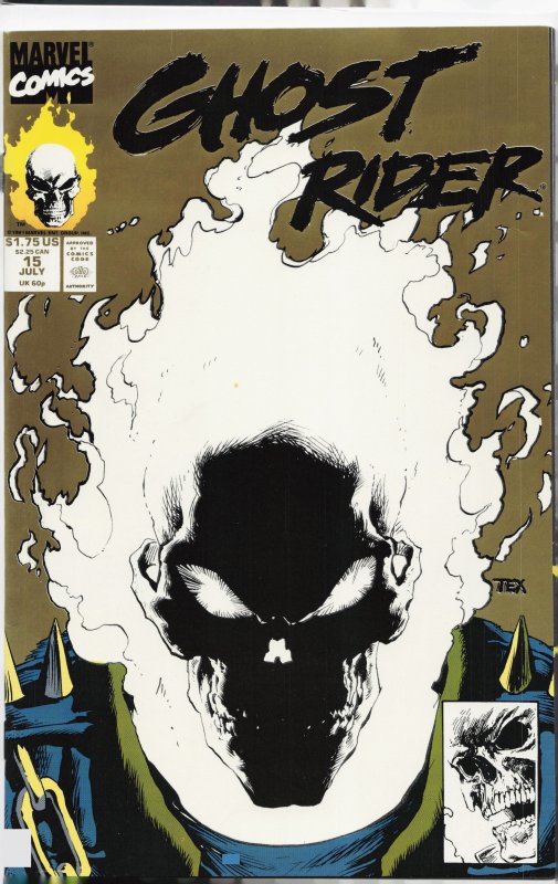 Ghost Rider #15 Second Print Cover (1991) Ghost Rider