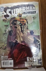 Superman: Birthright #11 (2004)