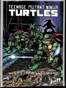 Teenage Mutant Ninja Turtles Graphic Novel #1 (1986)