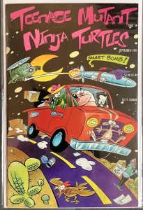 Teenage Mutant Ninja Turtles #39 (1991, Mirage) NM+