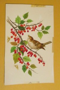 CHRISTMAS Bird in Branches w/ Berries 4.5x7 Greeting Card Art #232 FVF 7.0