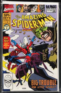 The Amazing Spider-Man Annual #24 (1990) Spider-Man