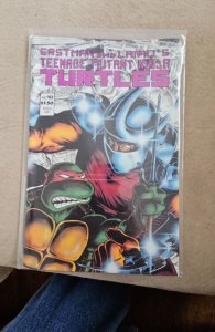 Teenage Mutant Ninja Turtles #10