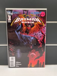 Batman and Robin: Born to Kill (2012)