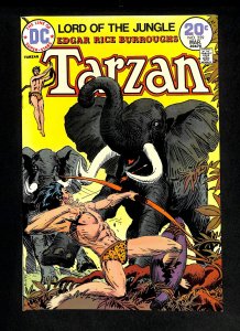 Tarzan (1972) #229