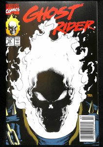 Ghost Rider #15 (1991)