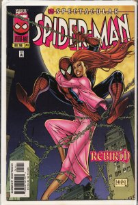 The Spectacular Spider-Man #241 (1996) Spider-Man