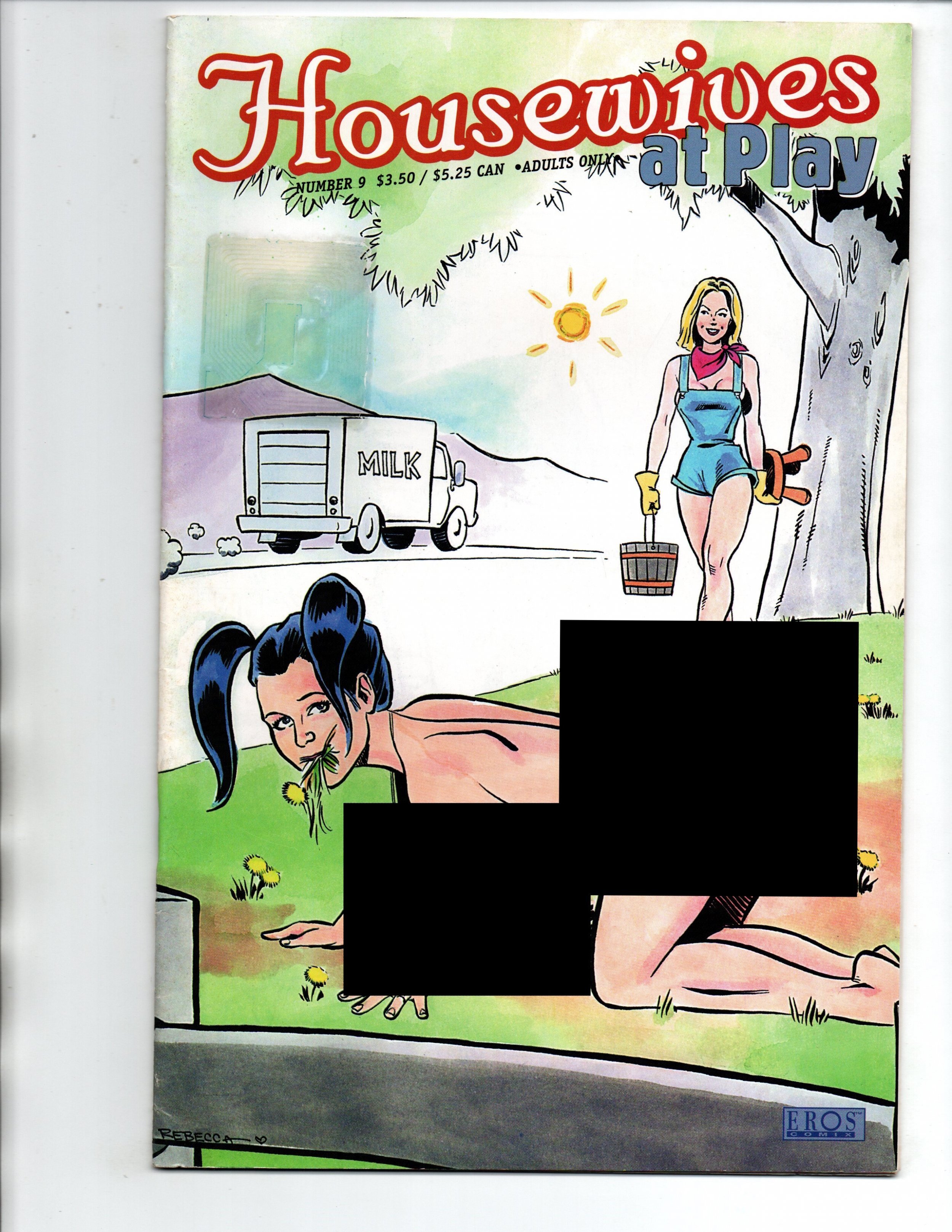 Housewives at Play #9 - 1st Print - Eros Comix - 2002 - FN Comic Books image