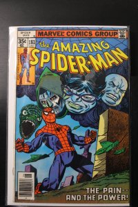 The Amazing Spider-Man #181 (1978)