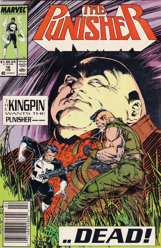 Punisher, The (2nd Series) #16 (Newsstand) VF ; Marvel | Kingpin Mike Baron