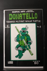 Teenage Mutant Ninja Turtles Teach Karate #3