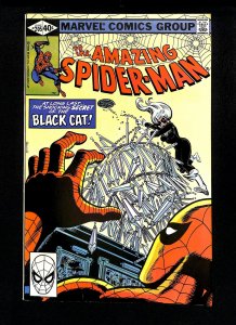 Amazing Spider-Man #205 Black Cat!