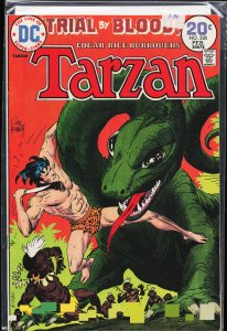 Edgar Rice Burroughs' Tarzan #228 (1974)