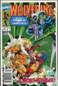 Wolverine #41 (1991) Wolverine