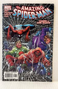 The Amazing Spider-Man #503 (2004)