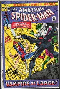 The Amazing Spider-Man #102 (1971) Spider-Man [Key Issue]