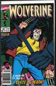 Wolverine #26 (1990) Wolverine