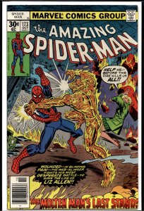 The Amazing Spider-Man #173 (1977) Spider-Man