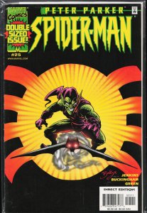 Peter Parker: Spider-Man #25 (2001) Spider-Man